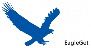 EagleGet أفضل بديل مجانى لبرنامج انترنت داونلود مانجر