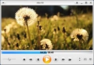 تحميل أفضل مشغل للفيديو والDVD وال4K برنامج Zoom Player للويندوز3