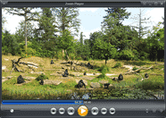 تحميل أفضل مشغل للفيديو والDVD وال4K برنامج Zoom Player للويندوز