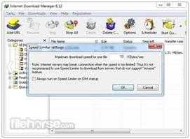 برنامج إنترنت داونلود مانجر Internet Download Manager 6.28 Build 163