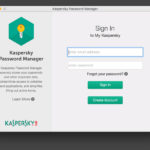 تحميل برنامج Kaspersky Password Manager
