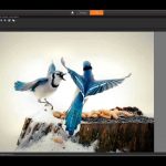 تحميل برنامج Corel Paintshop Pro لتحرير الصور