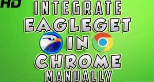 كيفية التحميل من Google Chrome بإستخدام EagleGet