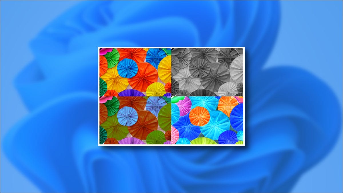 كيفية استخدام فلترات الألوان في Windows 11
